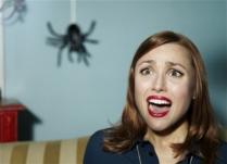 Освобождаем дом от пауков: 8 простых советов